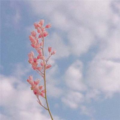 皇冠新体育·截图